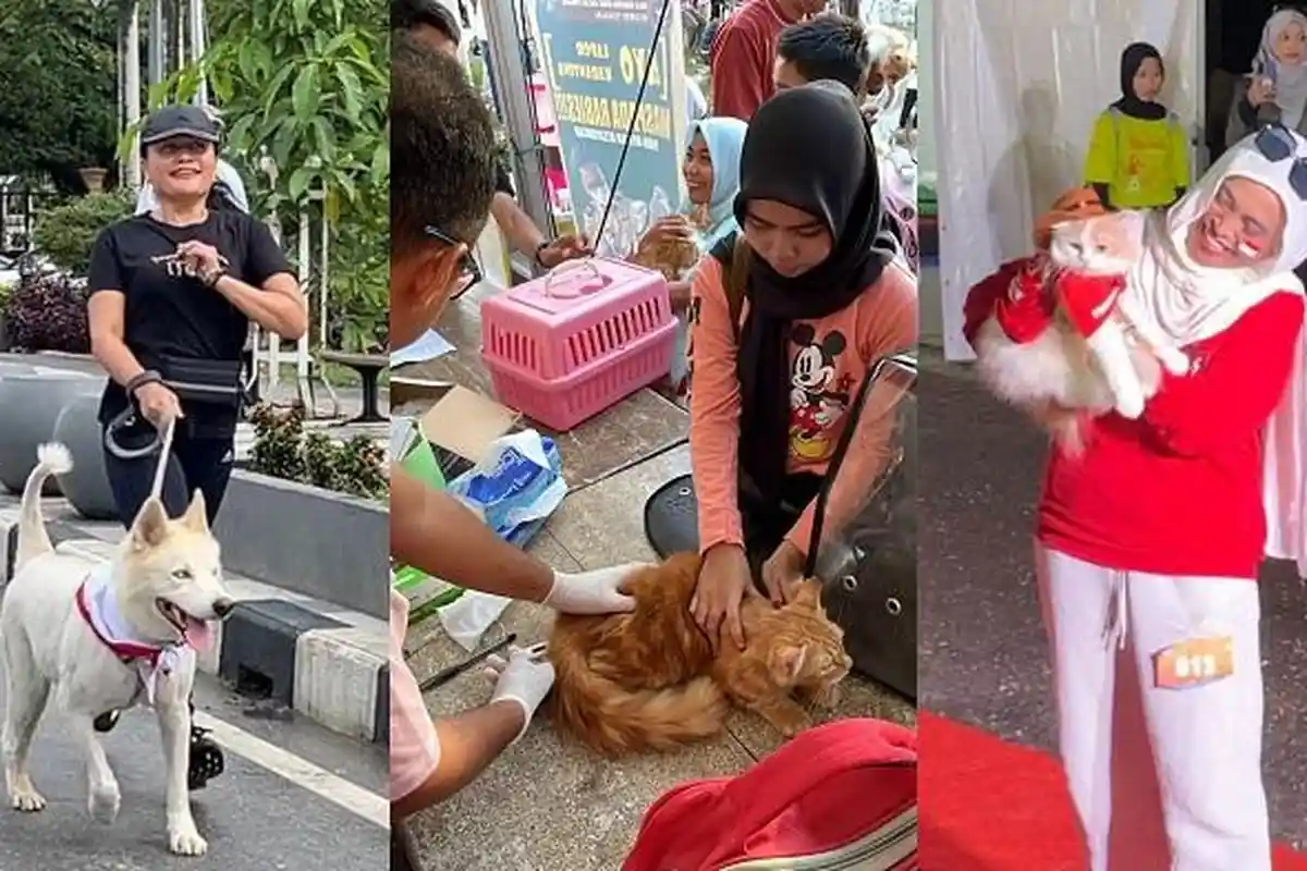 Keseruan Pet Festival 2025 di Eks MTQ Kendari, Lari Bareng, Vaksin Gratis hingga Fashion Show