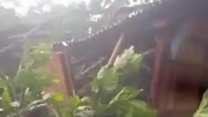 PETAI-TIMPA-SELEP.jpg