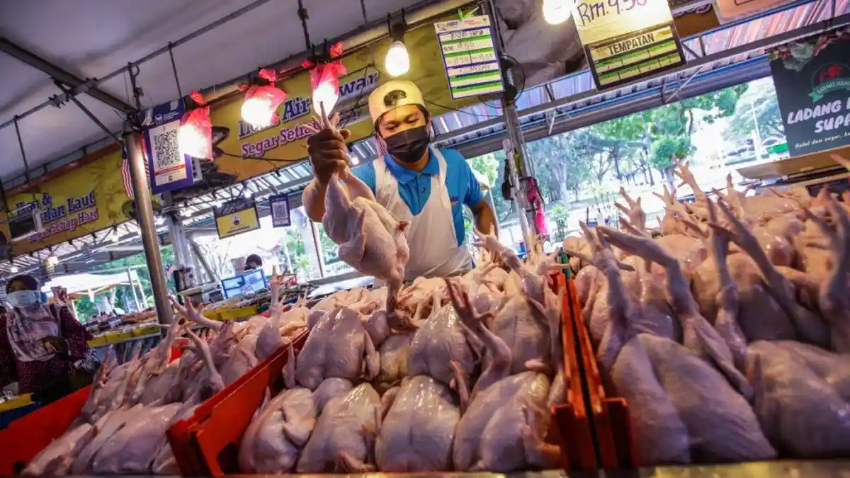 Penguatan Pertanian dan Peternakan Rakyat Dibahas untuk Jaga Ketahanan Pangan