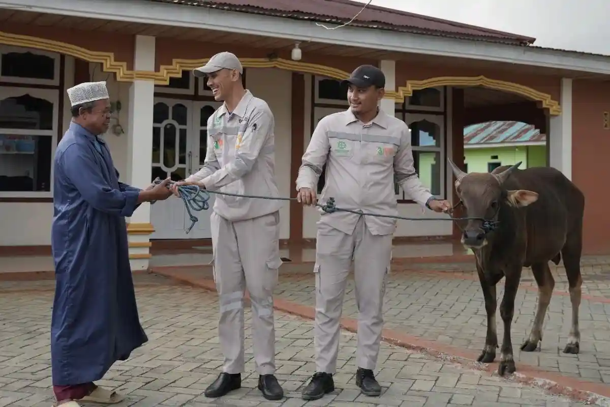 Tahun Ini Weda Bay Project Serahkan Lebih Banyak Sapi Kurban - Salah-satu-penyerahan-sapi-kurban-oleh-PT-IWIP-01.jpg