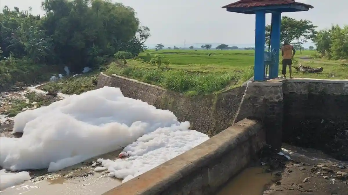 Heboh! Aliran Sungai di Margorejo Pati Mendadak Dipenuhi Busa, Warga Menduga Dampak Limbah TPA