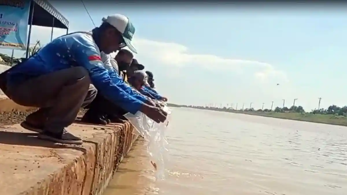 15 Ribu Benih Ikan Disebar di Sungai Blorong Kendal