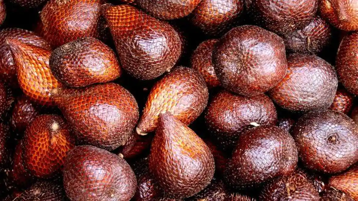 Arti Mimpi Makan Buah Salak, Pertanda Mendapatkan Pekerjaan Yang Lebih Baik