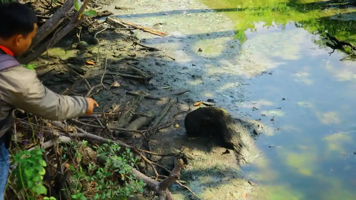 Dinas Lingkungan Hidup Pemkab Bintan Terjunkan Tim Cek Bau Amis Dekat Perusahaan Pengelolaan Udang
