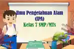 Ringkasan-Materi-IPA-Kelas-7-SMP-MTs-Kurikulum-Merdeka-Klasifikasi-Mahluk-Hidup.jpg