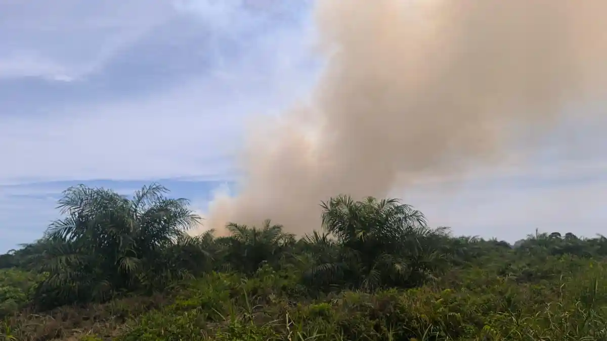 Karhutla Belum Reda, Dua Titik Api Kembali Muncul di Aceh Barat