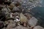 Sampah Kotori Pantai Ulee Lheue Banda Aceh