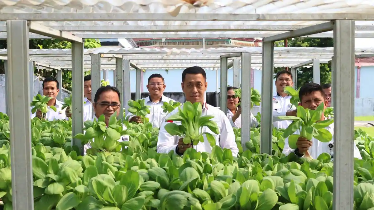 Dukung Program Ketahanan Pangan, Lapas Kelas IIA Pematangsiantar Panen Raya Sayur Hidroponik