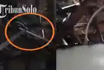Kagetnya Supatni di Klaten, Lihat Atap Rumah Muncul Ular, karena Takut Langsung Lari Terbirit-birit