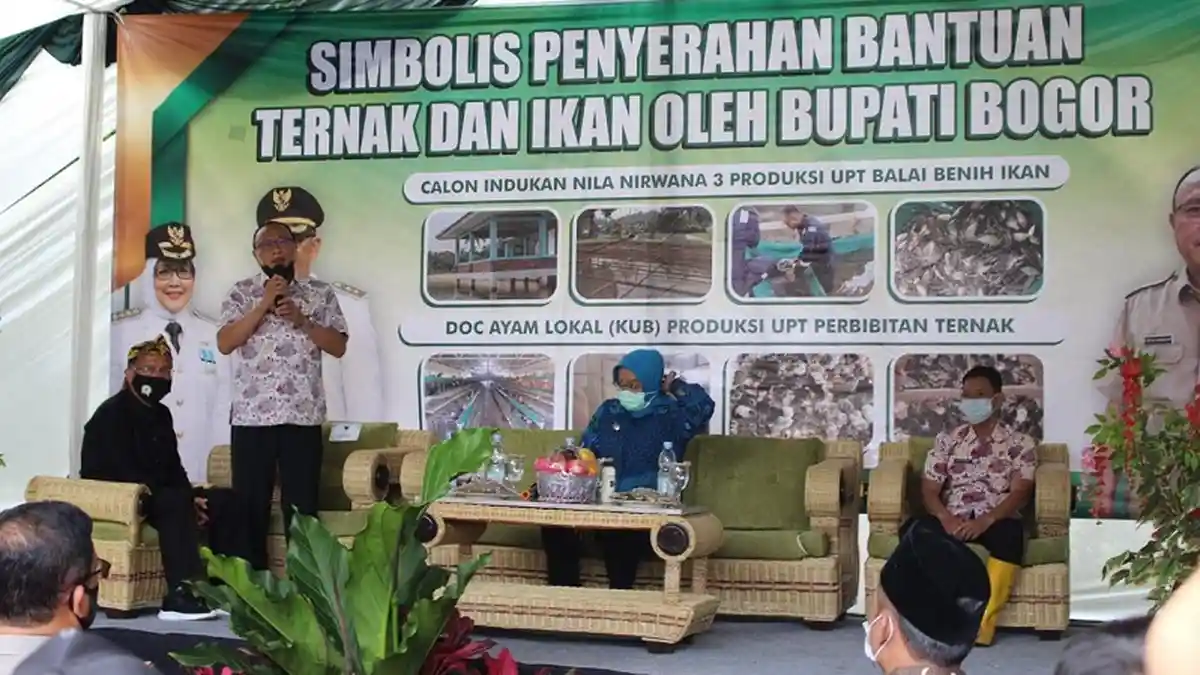 Hadirkan Aplikasi “Si Pipit”, Ini Target Dinas Perikanan dan Peternakan Kabupaten Bogor