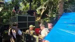 Kandang-Angkut-Badak-Jawa.jpg