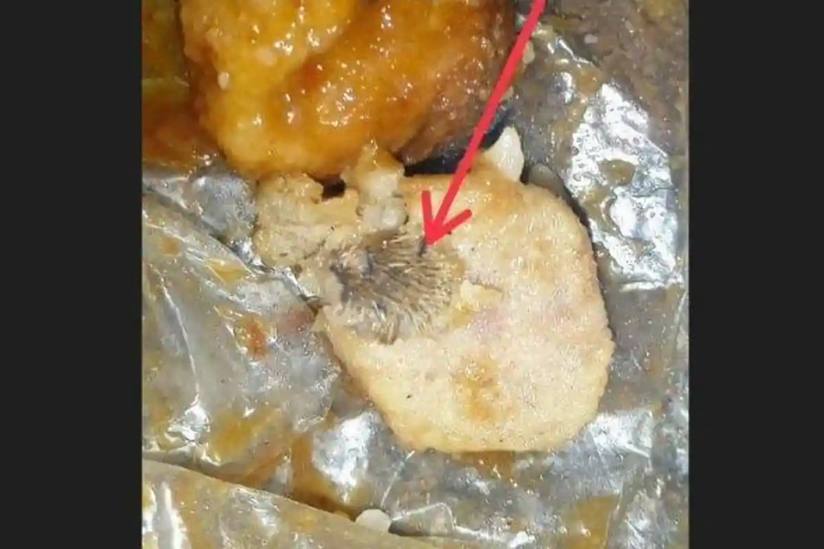 Saat Makan Salome Pria di NTT Tak Menyangka Temukan Pentolan Berisikan Kulit dan Bulu Tikus