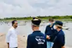 Presiden Jokowi Tanam Pohon Mangrove di Kabupaten Tana Tidung