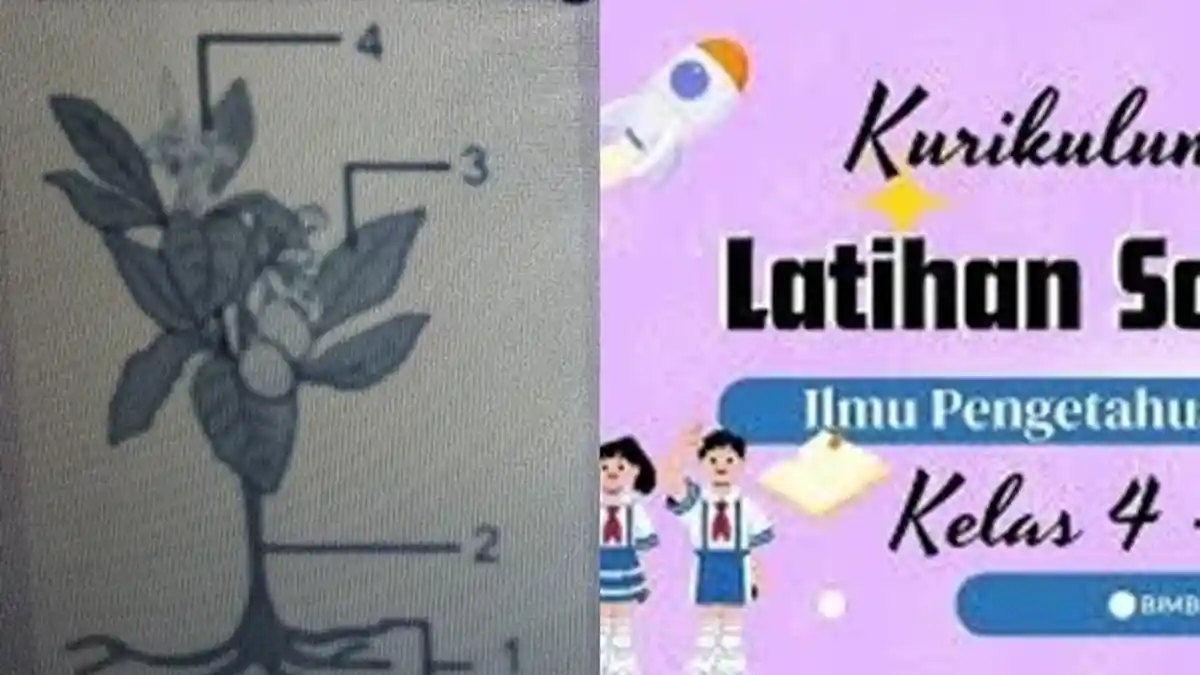 Kunci Jawaban Soal Pilihan Ganda PTS/STS IPA Kelas 4 Semester 1 Kurikulum Merdeka