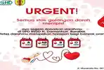 Stok Semua  Golongan Darah di UPD RSHD Barabai Sempat Menipis, Ini Penyebabnya 