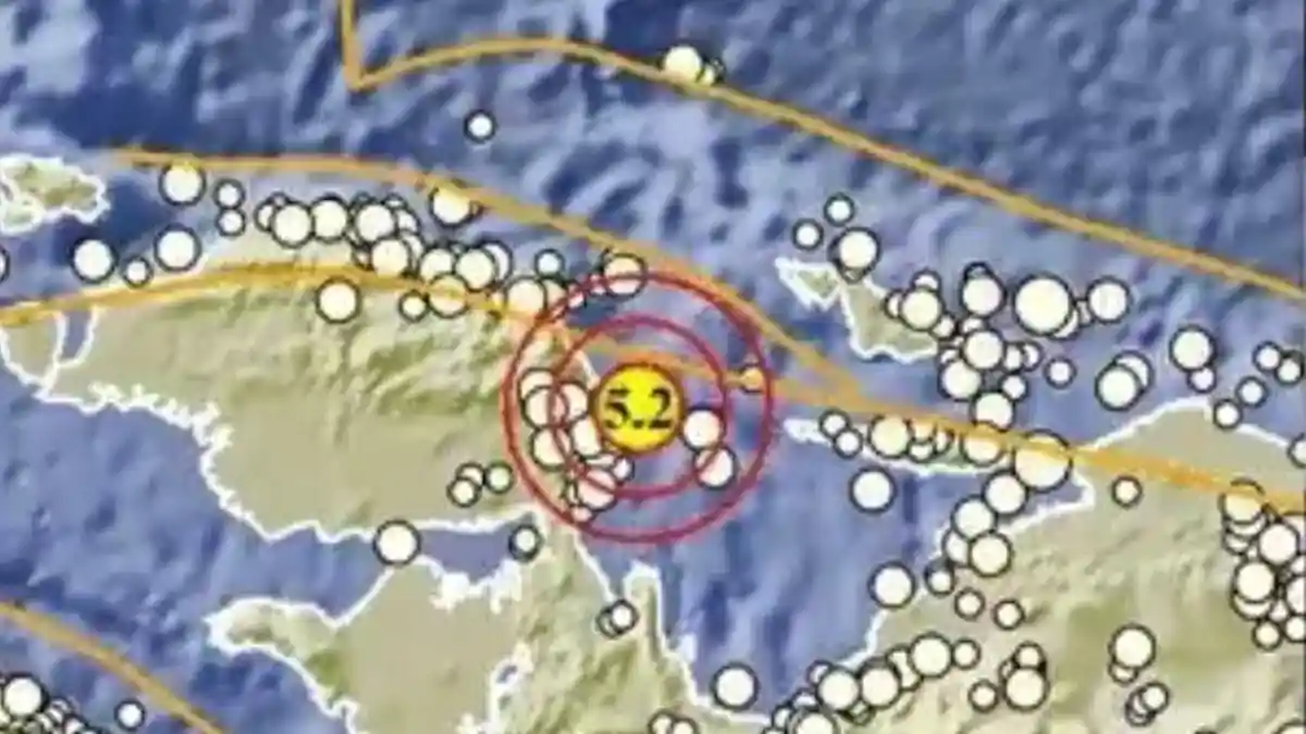 Baru Saja, Gempa Magnitudo 5.2, Pusat Gempa 2 Menit Lalu di Ransiki Papua Barat, Cek Info BMKG