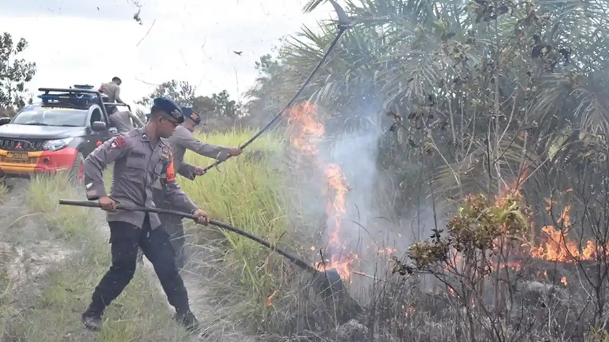 Karhutla Kalteng, Personel Brimob Padamkan Api di Jalan Arah Sampit-Pangkalanbun