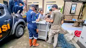 ILUSTRASI-MACAN-TUTUL-ditangkap.jpg