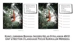 Kunci-Jawaban-Bahasa-Inggris-Kelas-9-Halaman-49-51-Unit-2-Section-3-Language-Focus-Kurikulum-Merdeka.jpg