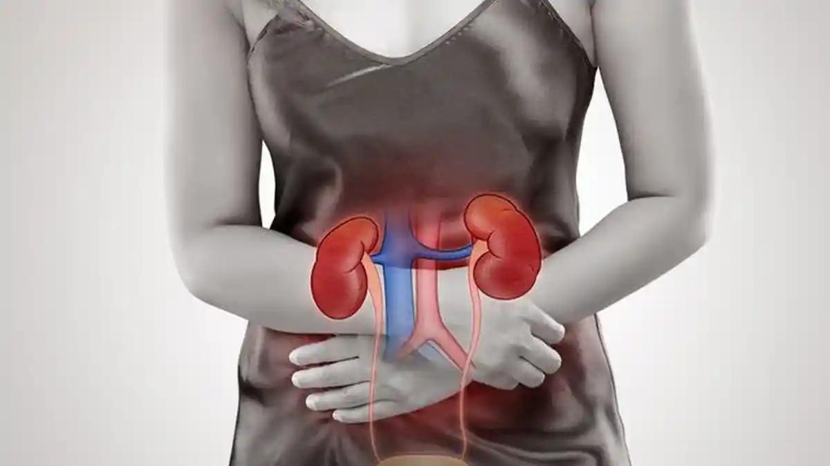 Tanpa Sadar Sering Dilakukan Sehari-hari, 7 Kebiasaan Ini Ternyata Bisa Sebabkan Gagal Ginjal!