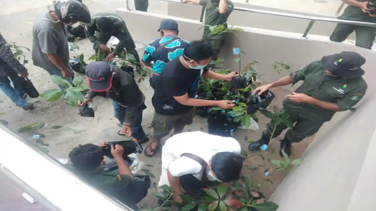Peringati Rimbawan Ke-38 UPT Kehutanan Sekadau Bagikan Bibit Buah