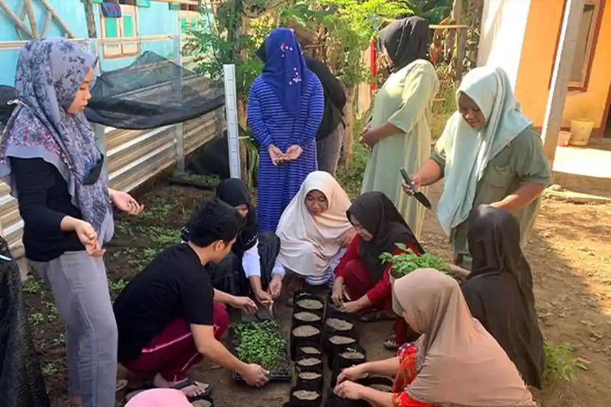 Mahasiswa KKN Unram Ajari Warga Desa Banjar KSB Tanam Hortikultura di Pekarangan Rumah