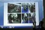 DUA EKOR HARIMAU SUMATERA MATI