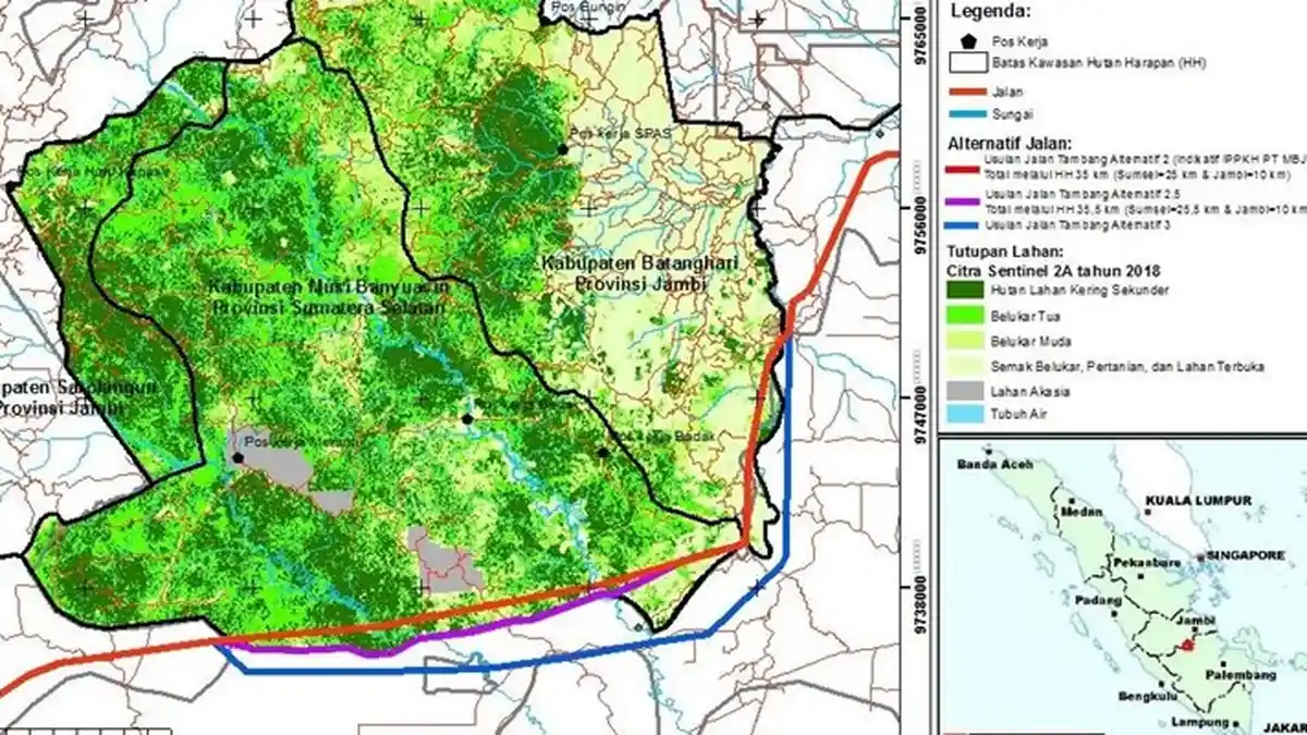 FORMAPHSI Kirim Surat ke Jokowi Minta Rute Jalan Tambang Batubara Keluar dari Hutan Alam