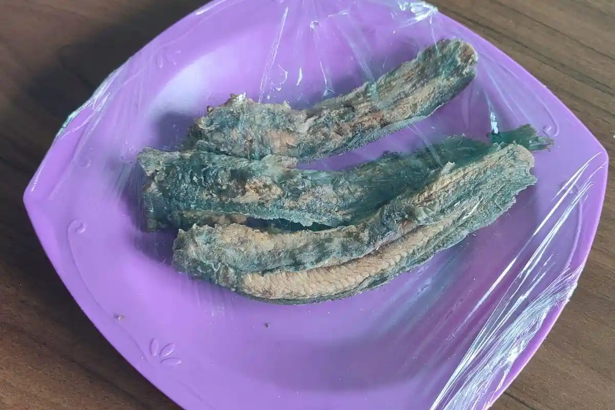 Ada Belatung di Lele Program MBG SMK Pangudi Luhur Magelang, Ini Kata Pihak Sekolah