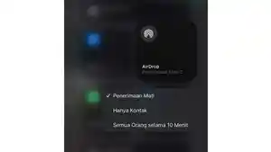 iOS-262-Hadirkan-Fitur-AirDrop-Codes-Begini-Cara-Kerjanya.jpg