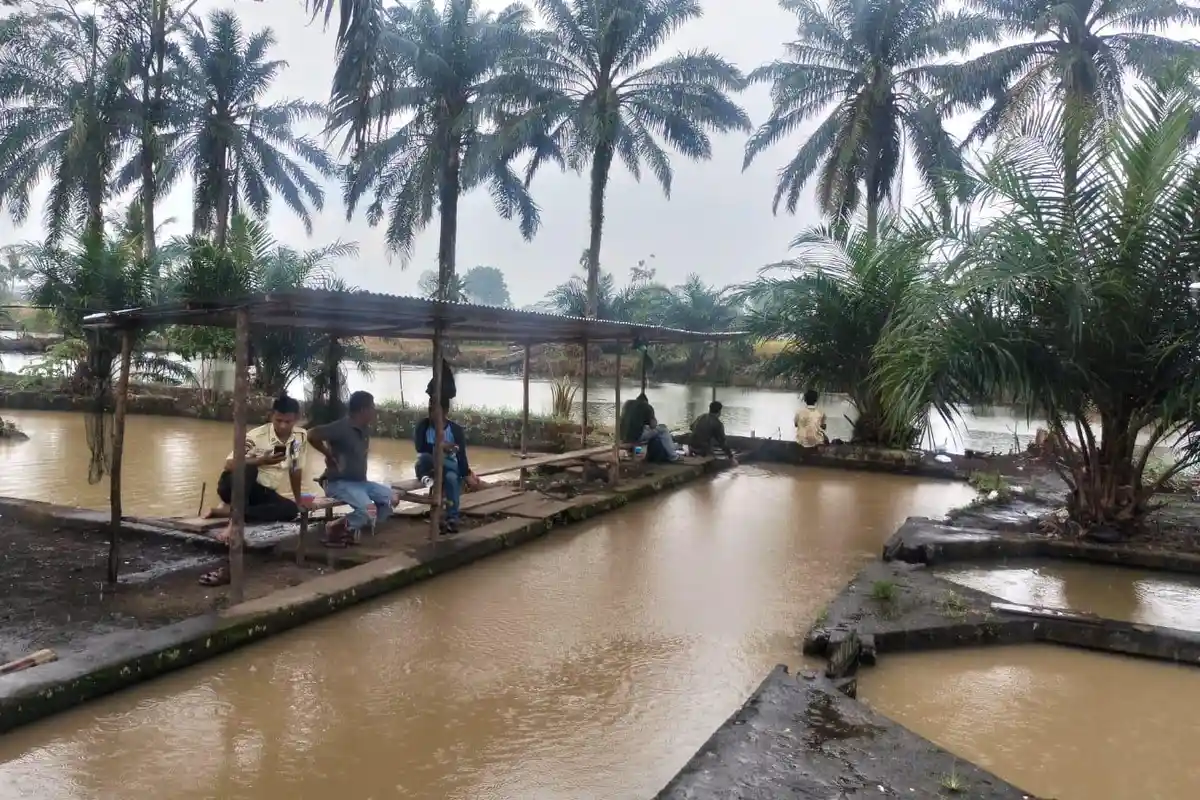 Setelah Karhutlah, BPBD Musi Rawas Kini Waspada Bencana Alam Setelah Intensitas Hujan Mulai Tinggi