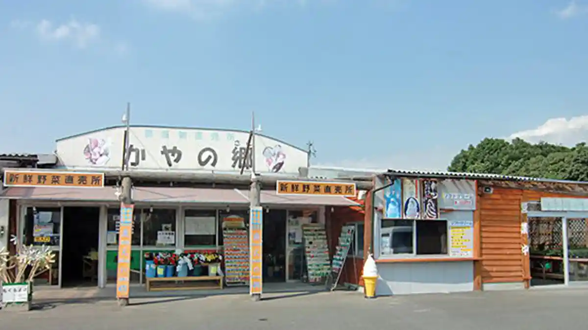 Lima Pelajar Sekolah Dasar di Kagoshima Jepang Bermain Bom Kuno