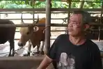 Sudarno-Qurban-Landak.jpg