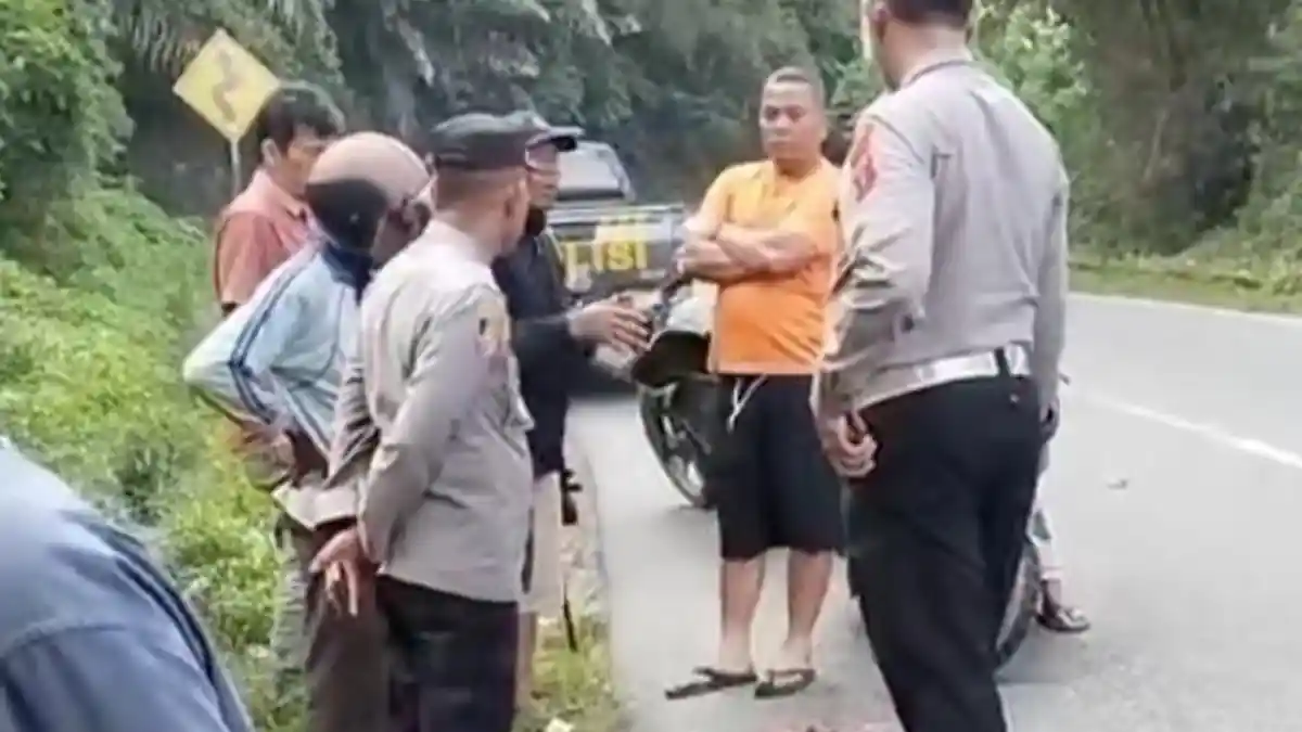 Video Anak Harimau Mati Terlindas di Simalungun Viral, BKSDA Sumut Bantah: Itu Macan Akar 