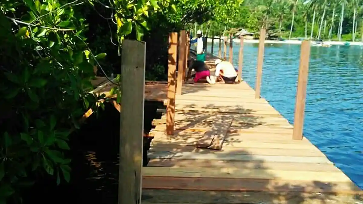 Pembangunan Objek Wisata Mangrove Transpatoa Terus Berkembang