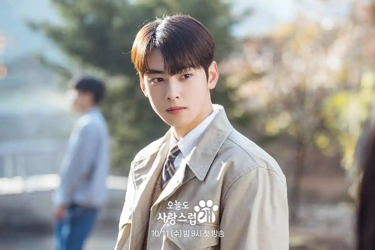 Inilah Sosok Cha Eun Woo Pemeran Jin Seo Won di Drakor A Good Day To Be A Dog
