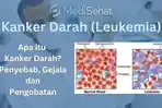 kanker-darah-cara-mengobati.jpg