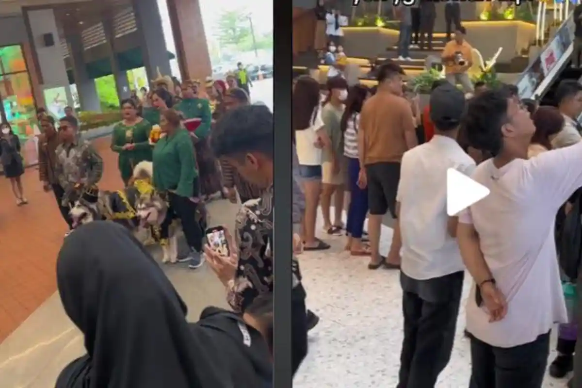 VIRAL Pernikahan Super Mewah Sepasang Anjing di PIK: Pakai Adat Jawa, Seragam Pengiring Jadi Sorotan