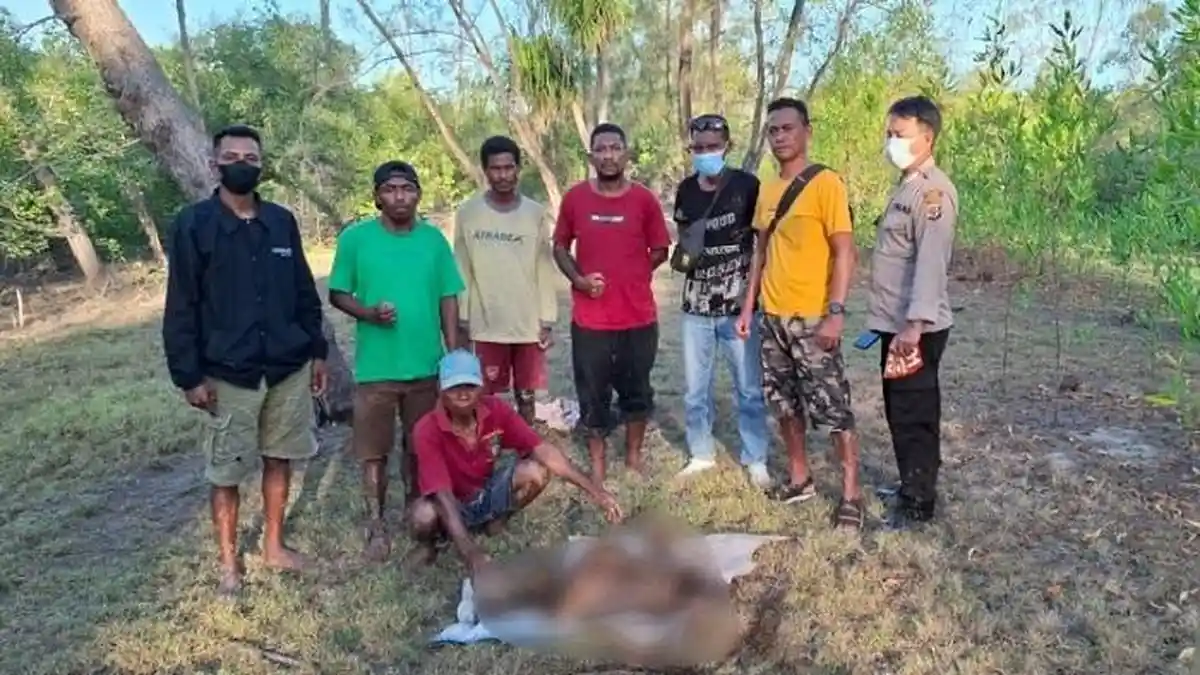 Polisi Evakuasi Mayat yang Ditemukan di Hutan Mangrove Pantai Abudenok ...