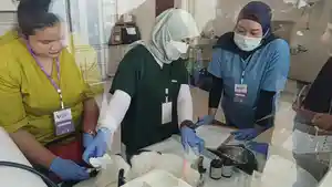 menyasar-100-ekor-kucing-lokal-milik-warga-Surabaya.jpg