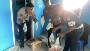 Penyelundupan-puluhan-cap-tikus-di-Pelabuhan-Dufa-dufa.jpg