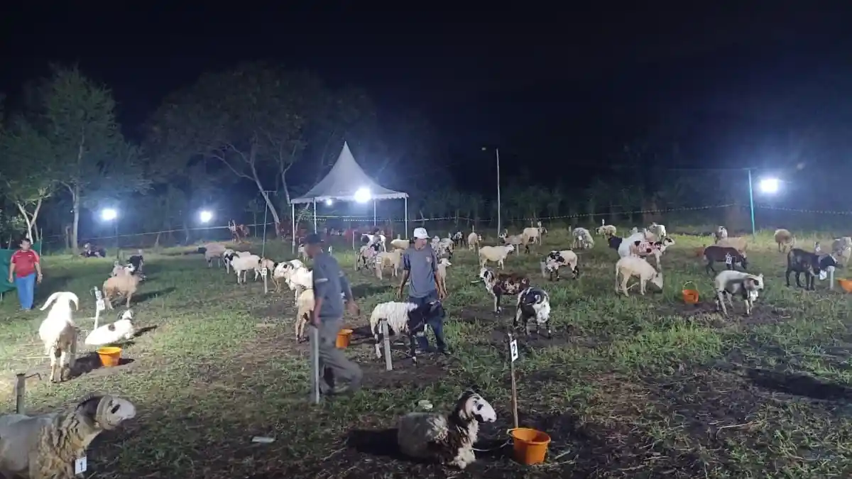 Idul Adha 2026: Warga Komplek Citra Gading Serang Kurban 7 Sapi dan 50 Kambing untuk Warga Sekitar