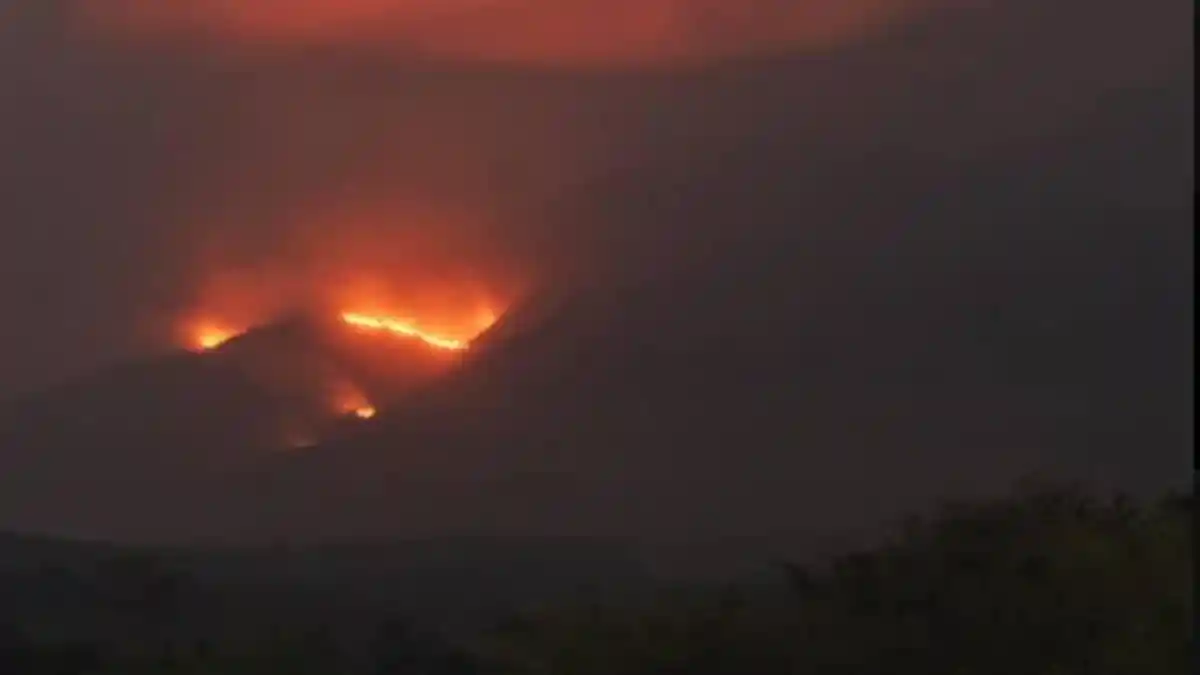 Hujan Bantu Pemadaman Karhutla Gunung Arjuno di Wilayah Kabupaten Malang