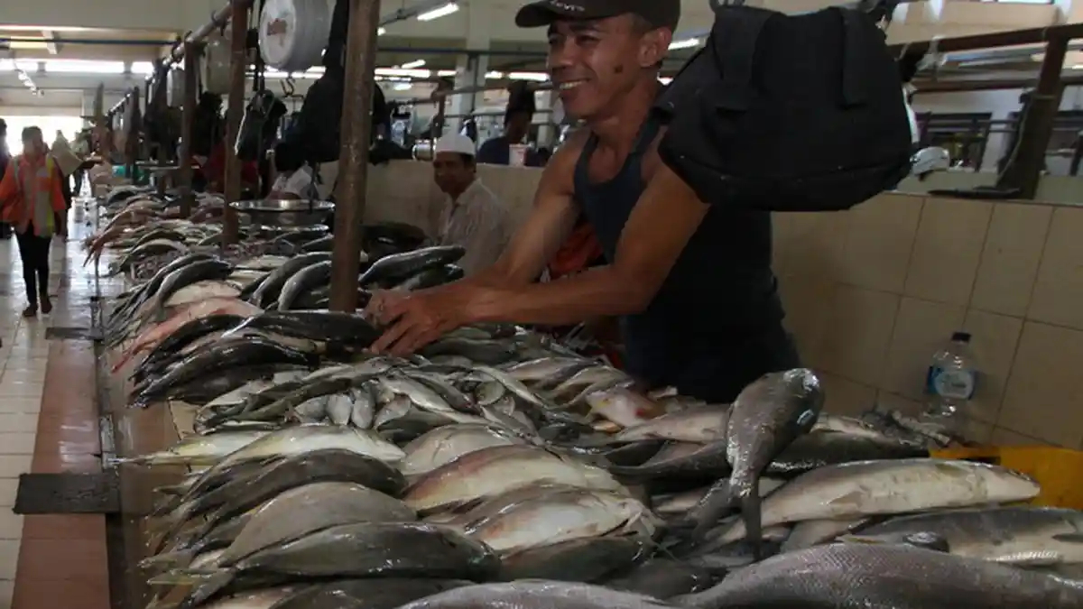 Bangun Cold Storage di Kawasan Cagar Alam Paser Dinilai Cocok, Dinas Perikanan Beberkan Manfaatnya