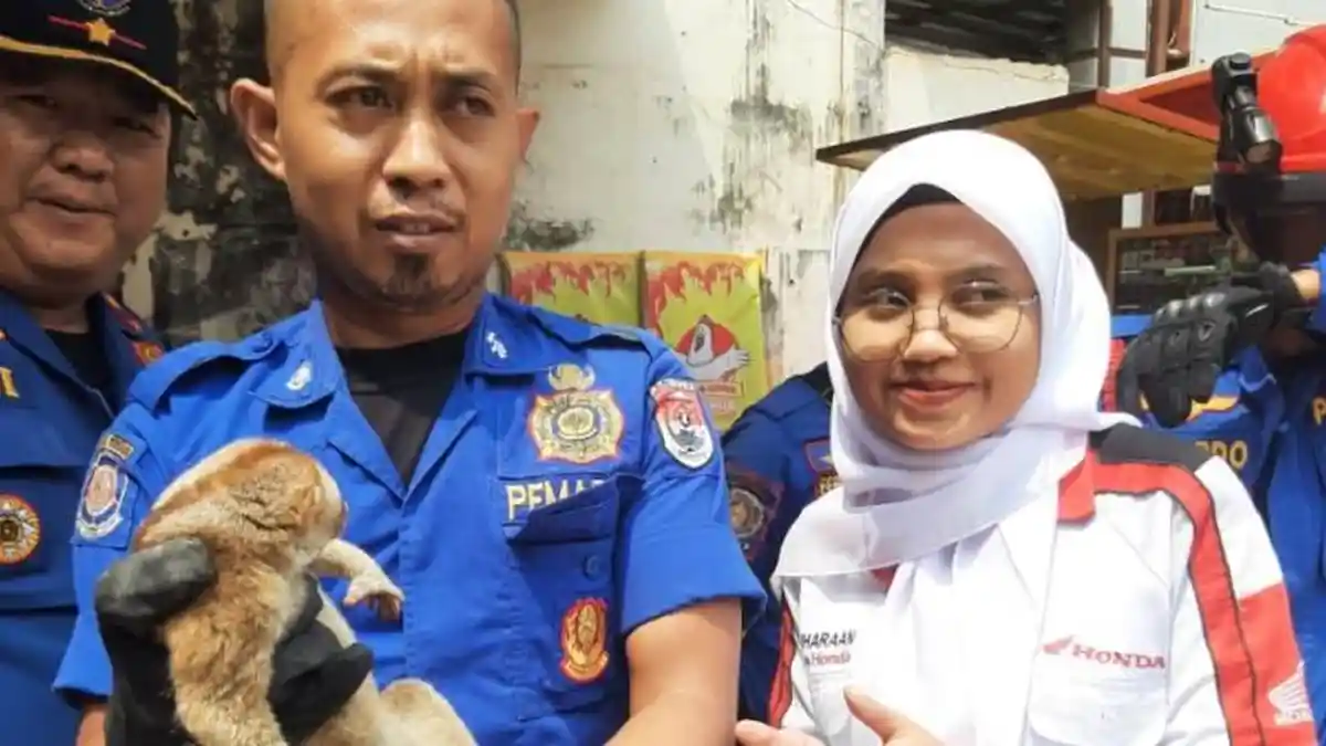 Damkarmat Mesuji Evakuasi Hewan Kukang yang Masuk ke Pemukiman Warga