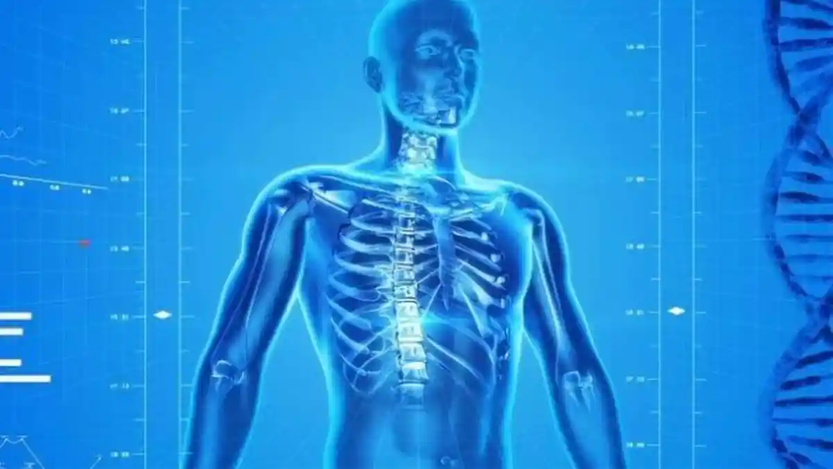 Mikroplastik Kini Ditemukan di Dalam Tulang Manusia, Berikut Penjelasannya