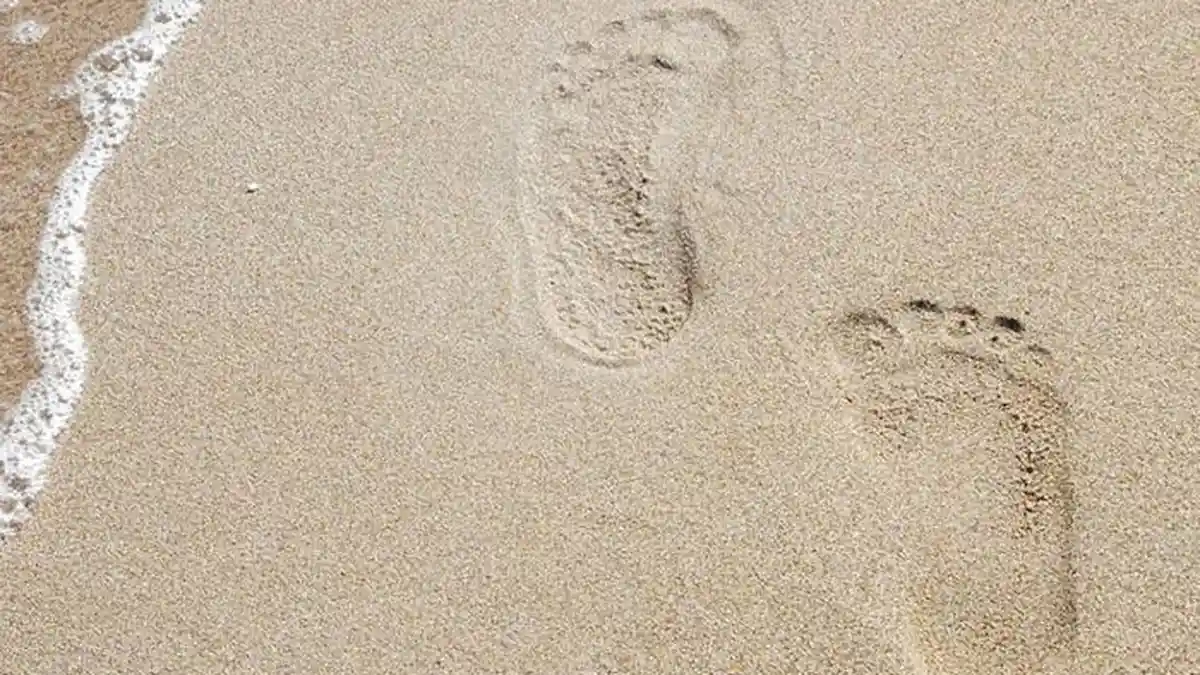 Puisi: Datang untuk Pergi