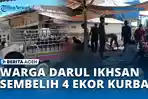 VIDEO - Gotong Royong Penuh Kebersamaan, Warga Darul Ikhsan Sembelih Empat Kerbau Kurban