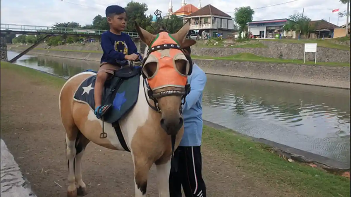 Kuta Sepi, Kusir Delman Ini Buka Jasa Kuda Keliling di Taman Pancing Denpasar