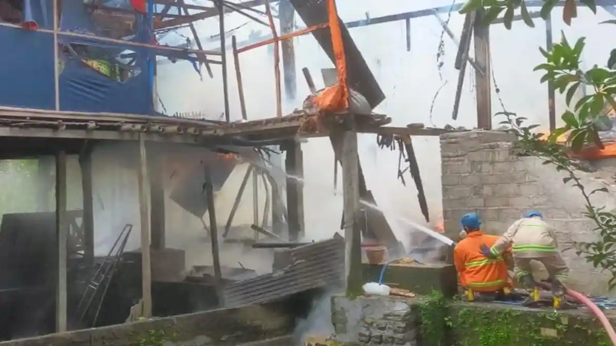 Kandang Ayam di Kanigoro Blitar Ludes Terbakar, 8.000 Ekor Ayam Hangus
